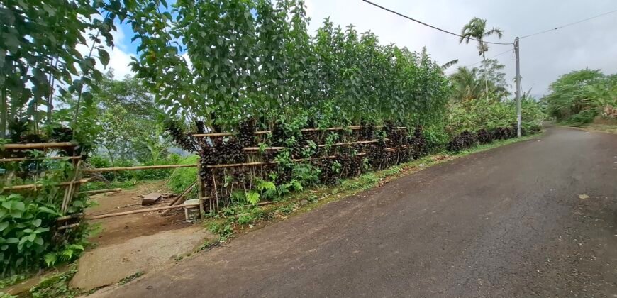 Dijual tanah kebun ketinggian 895 mdpl mendapatkan view gunung