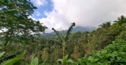 Dijual tanah kebun ketinggian 895 mdpl mendapatkan view gunung