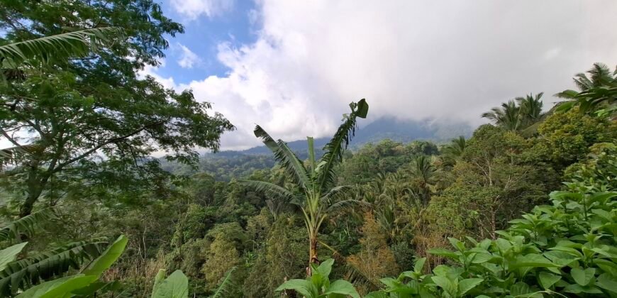 Dijual tanah kebun ketinggian 895 mdpl mendapatkan view gunung