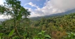 Dijual tanah kebun ketinggian 895 mdpl mendapatkan view gunung