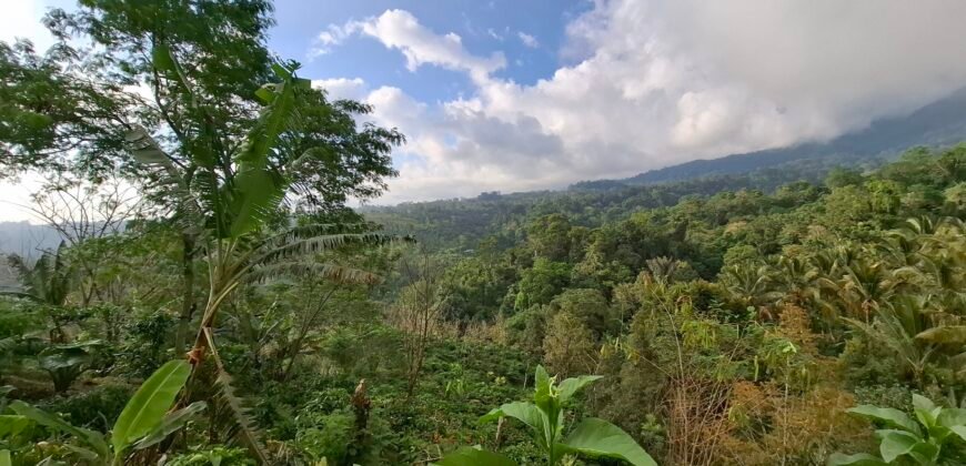 Dijual tanah kebun ketinggian 895 mdpl mendapatkan view gunung