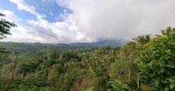 Dijual tanah kebun ketinggian 895 mdpl mendapatkan view gunung