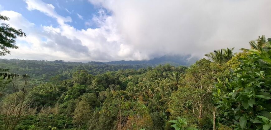 Dijual tanah kebun ketinggian 895 mdpl mendapatkan view gunung