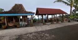 Dijual tanah kebun ketinggian 895 mdpl mendapatkan view gunung