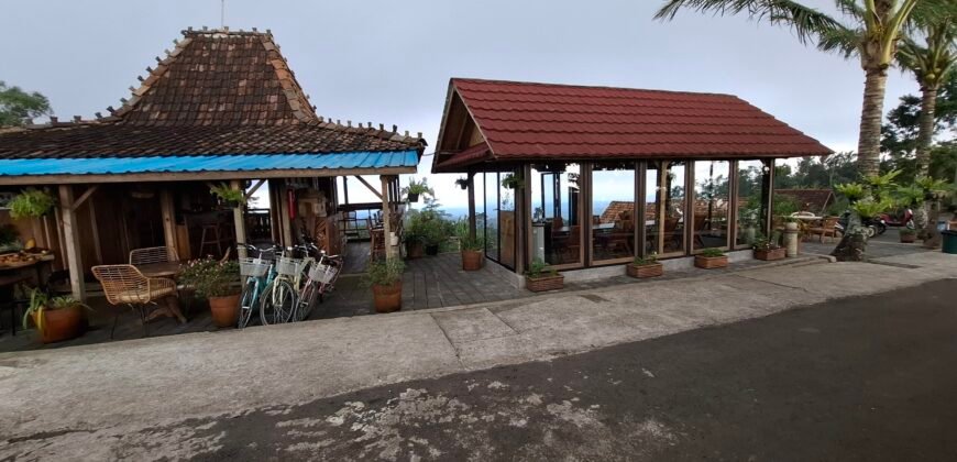 Dijual tanah kebun ketinggian 895 mdpl mendapatkan view gunung