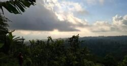 Dijual tanah kebun ketinggian 895 mdpl mendapatkan view gunung