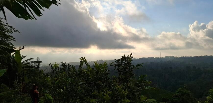 Dijual tanah kebun ketinggian 895 mdpl mendapatkan view gunung