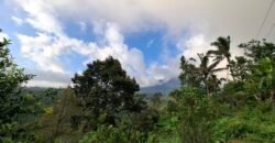 Dijual tanah kebun ketinggian 895 mdpl mendapatkan view gunung