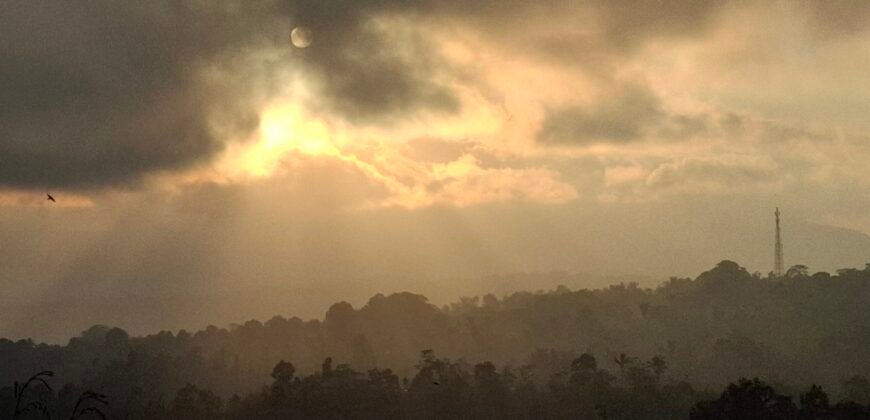 Dijual tanah kebun ketinggian 895 mdpl mendapatkan view gunung