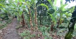 Dijual tanah view air terjun dan los sungai berbatu murah