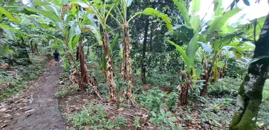 Dijual tanah view air terjun dan los sungai berbatu murah