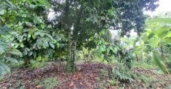 Dijual tanah view air terjun dan los sungai berbatu murah