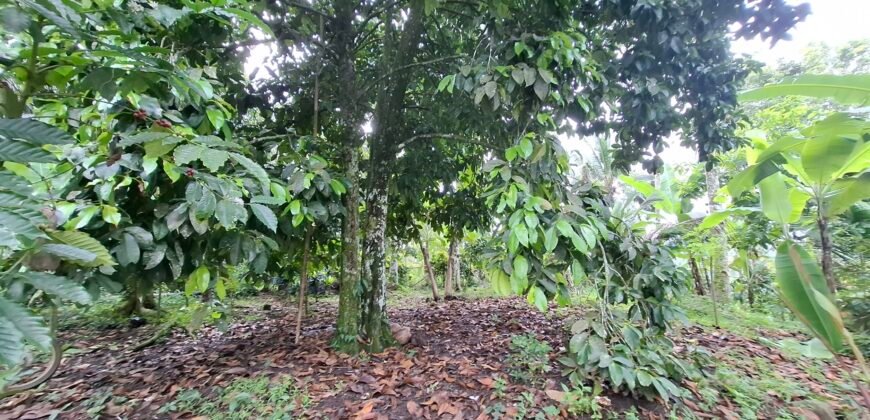 Dijual tanah view air terjun dan los sungai berbatu murah