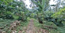 Dijual tanah view air terjun dan los sungai berbatu murah