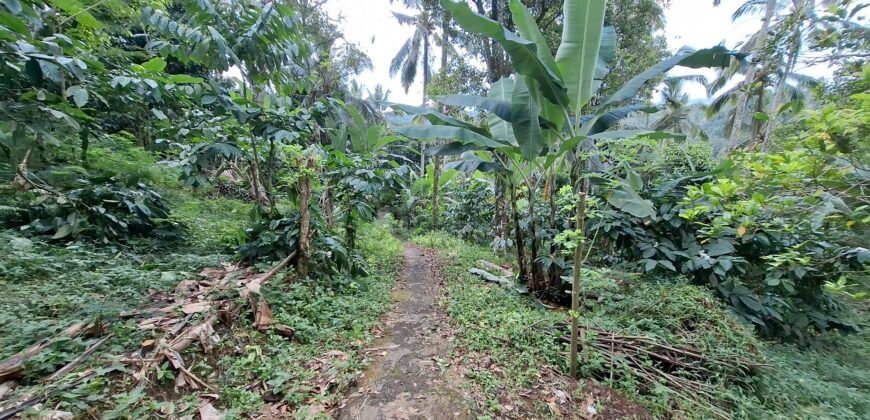 Dijual tanah view air terjun dan los sungai berbatu murah