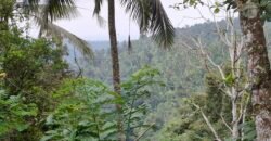Dijual tanah view air terjun dan los sungai berbatu murah