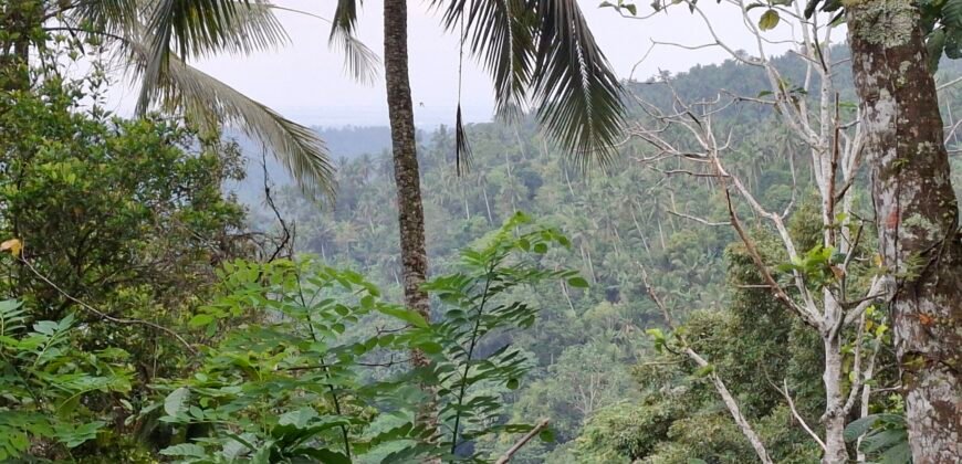 Dijual tanah view air terjun dan los sungai berbatu murah