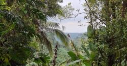 Dijual tanah view air terjun dan los sungai berbatu murah