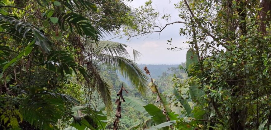 Dijual tanah view air terjun dan los sungai berbatu murah