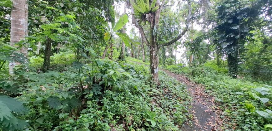 Dijual tanah view air terjun dan los sungai berbatu murah