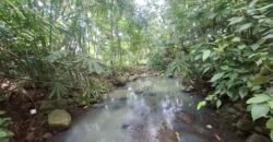 Dijual tanah los sungai dan view sawah dekat dengan kawasan wisata pantai