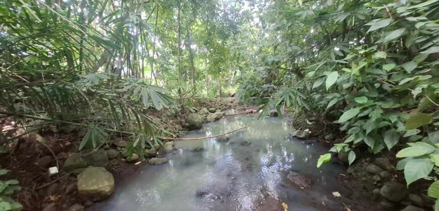 Dijual tanah los sungai dan view sawah dekat dengan kawasan wisata pantai