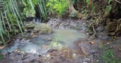 Dijual tanah los sungai dan view sawah dekat dengan kawasan wisata pantai