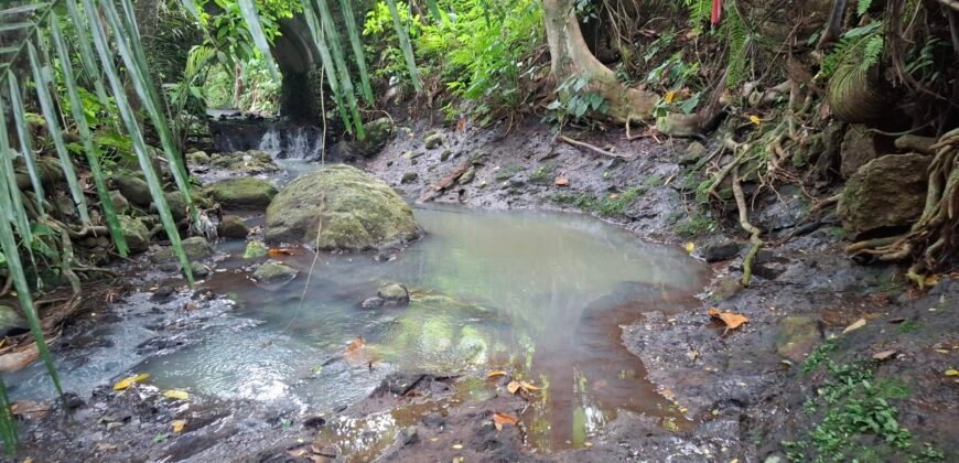 Dijual tanah los sungai dan view sawah dekat dengan kawasan wisata pantai