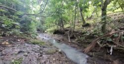 Dijual tanah los sungai dan view sawah dekat dengan kawasan wisata pantai