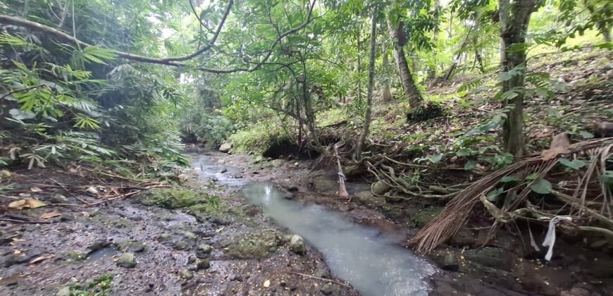 Dijual tanah los sungai dan view sawah dekat dengan kawasan wisata pantai