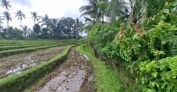 Dijual tanah los sungai dan view sawah dekat dengan kawasan wisata pantai