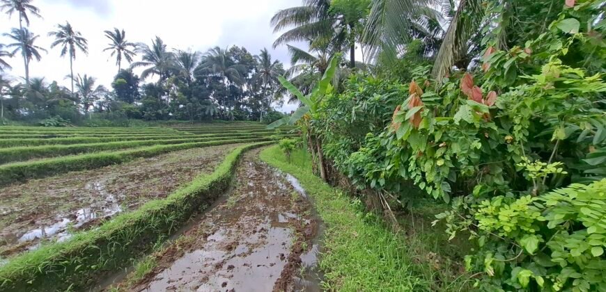 Dijual tanah los sungai dan view sawah dekat dengan kawasan wisata pantai