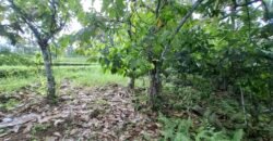Dijual tanah los sungai dan view sawah dekat dengan kawasan wisata pantai