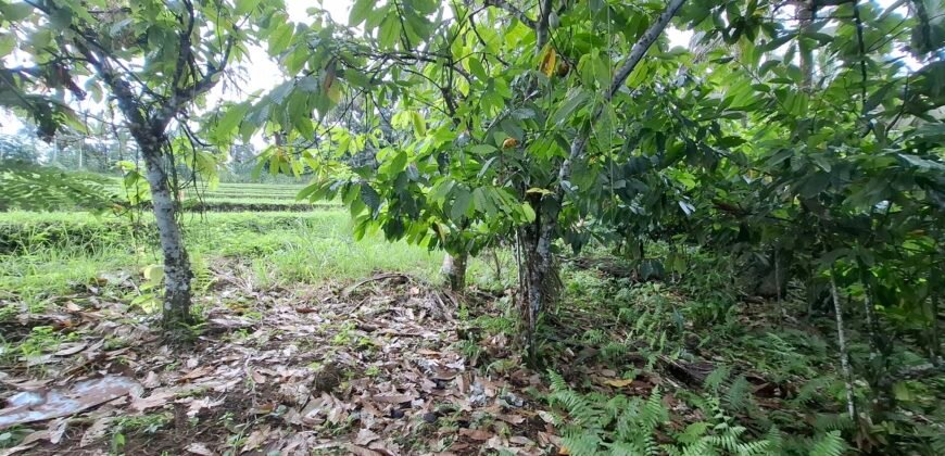 Dijual tanah los sungai dan view sawah dekat dengan kawasan wisata pantai