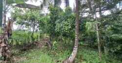 Dijual tanah los sungai dan view sawah dekat dengan kawasan wisata pantai