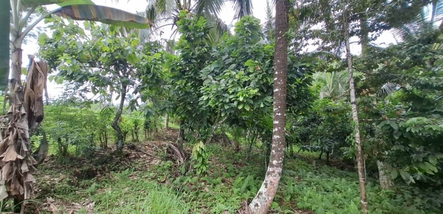Dijual tanah los sungai dan view sawah dekat dengan kawasan wisata pantai