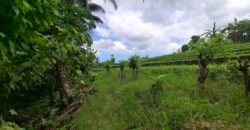 Dijual tanah los sungai dan view sawah dekat dengan kawasan wisata pantai