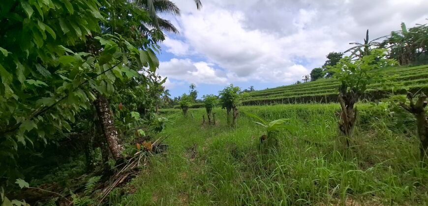 Dijual tanah los sungai dan view sawah dekat dengan kawasan wisata pantai