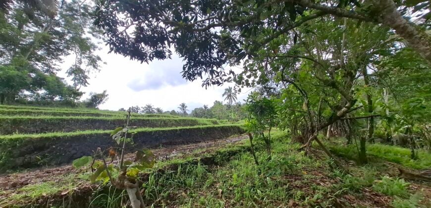 Dijual tanah los sungai dan view sawah dekat dengan kawasan wisata pantai