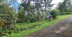Dijual tanah los sungai dan view sawah dekat dengan kawasan wisata pantai