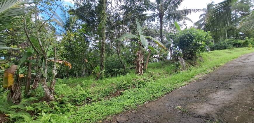 Dijual tanah los sungai dan view sawah dekat dengan kawasan wisata pantai