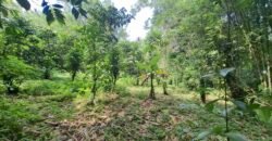Dijual tanah kebun los sungai view gunung dan sawah