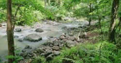 Dijual kebun murah los sungai di tabanan