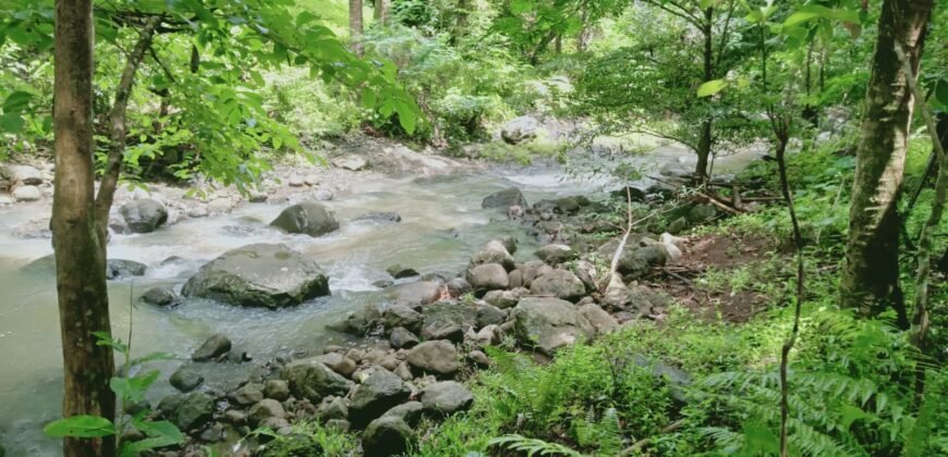 Dijual kebun murah los sungai di tabanan
