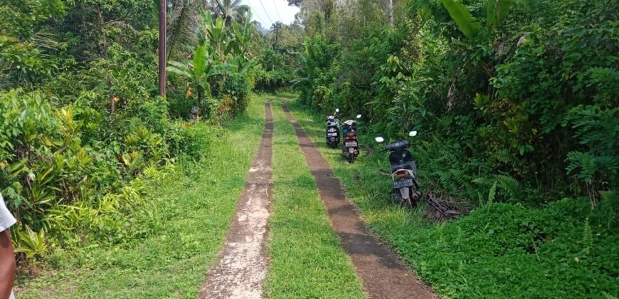 Dijual kebun murah los sungai di tabanan