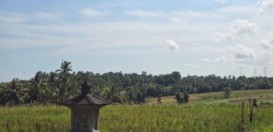 Dijual tanah 695m² view laut dan sawah dekat pantai