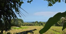 Dijual tanah 695m² view laut dan sawah dekat pantai