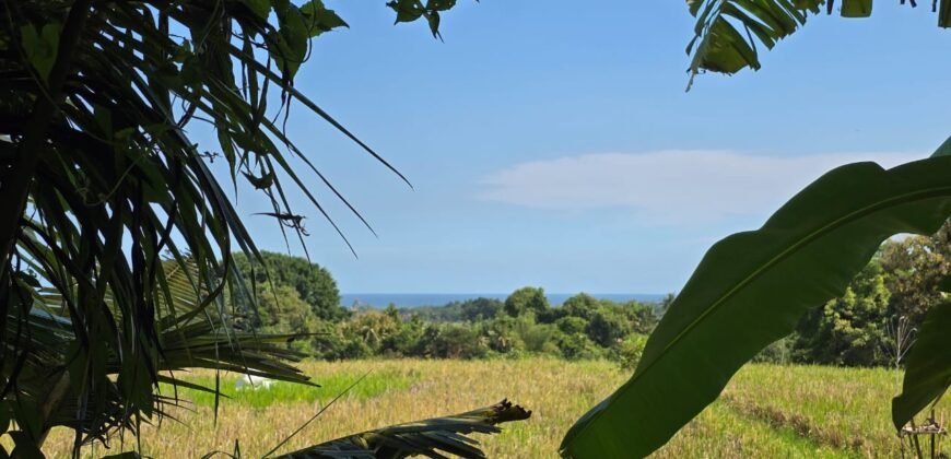 Dijual tanah 695m² view laut dan sawah dekat pantai