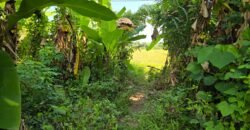 Dijual tanah 695m² view laut dan sawah dekat pantai