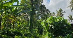 Dijual tanah 695m² view laut dan sawah dekat pantai
